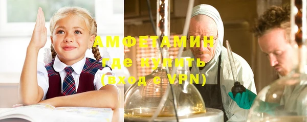 прущие грибы Вязники