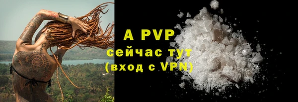 прущие грибы Вязники