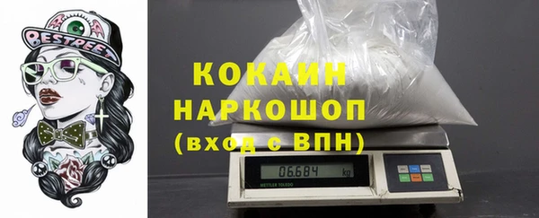 прущие грибы Вязники