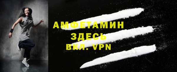 прущие грибы Вязники