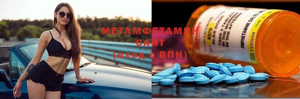 прущие грибы Вязники