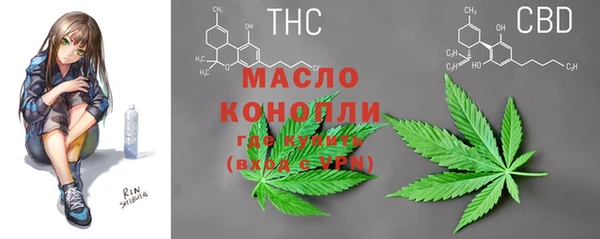 прущие грибы Вязники