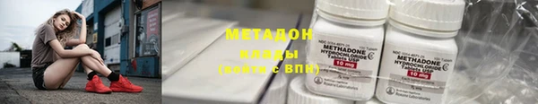 прущие грибы Вязники