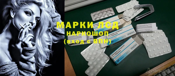 прущие грибы Вязники