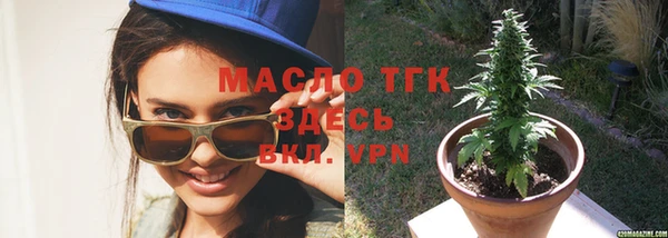 прущие грибы Вязники