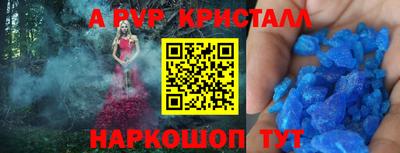 винт Камышлов