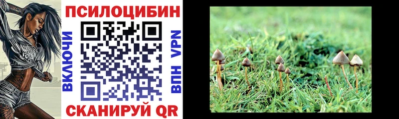 Галлюциногенные грибы Magic Shrooms  блэк спрут tor  Славянск-на-Кубани  где найти  