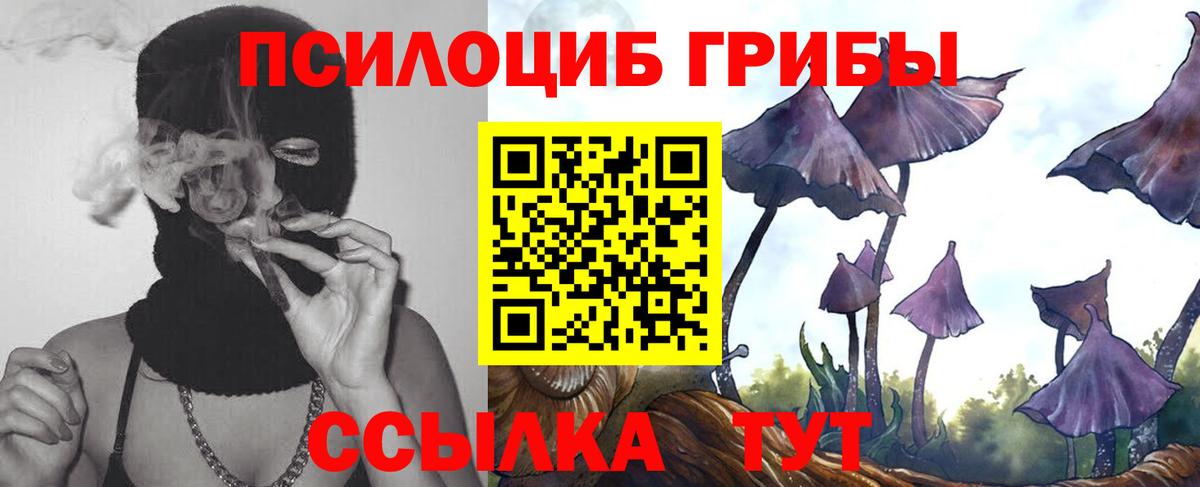Псилоцибиновые грибы GOLDEN TEACHER  Псилоцибиновые грибы мухоморы  Славянск-на-Кубани  Вход с VPN 